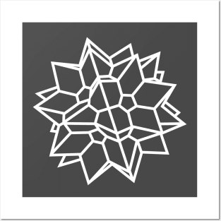 Stellated Polyhedra Posters and Art